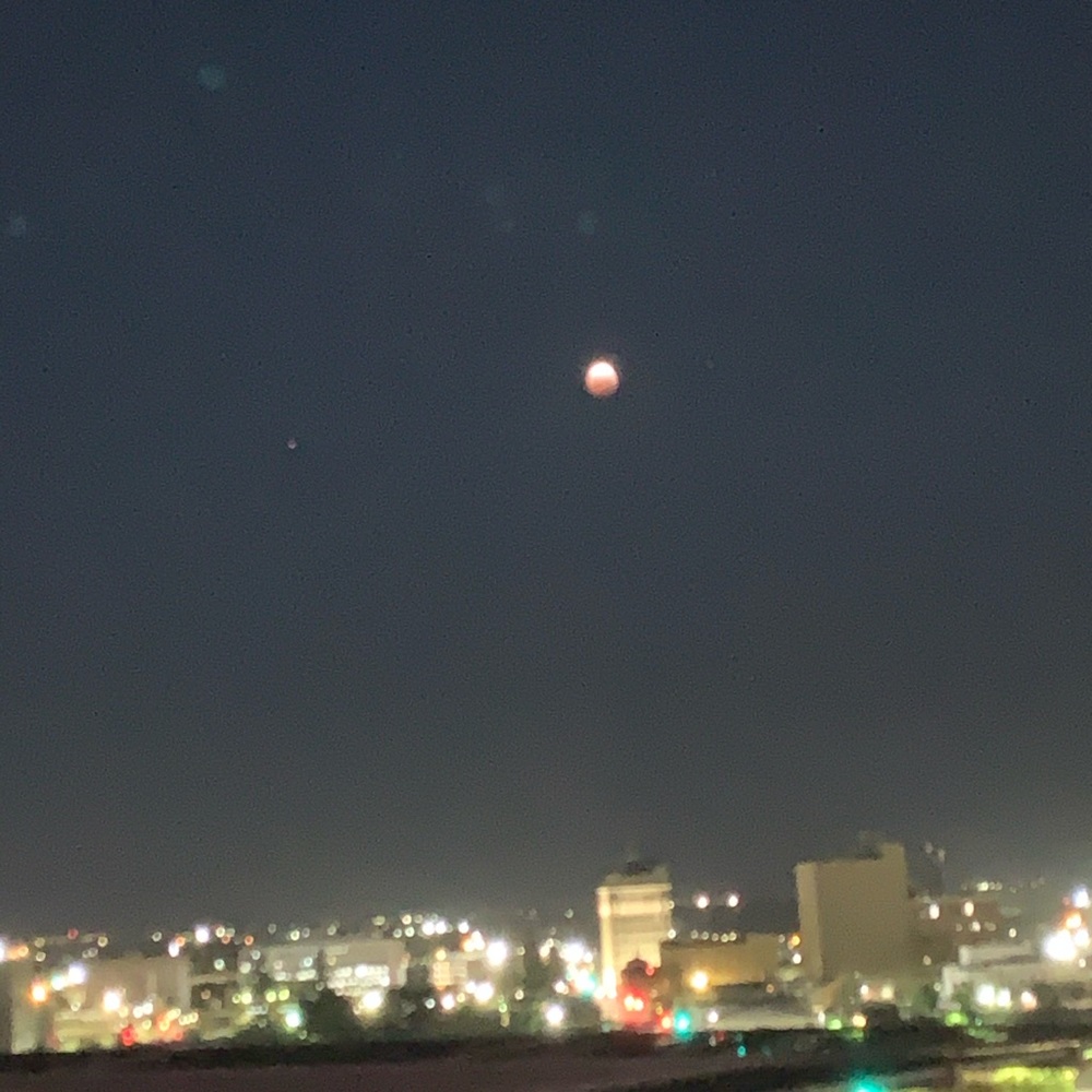 Meet your Posher, Annalyn